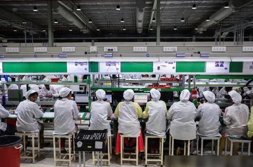 蘋果印度工廠遭暴力打砸，緯創澄清與業務培訓問題引發反思